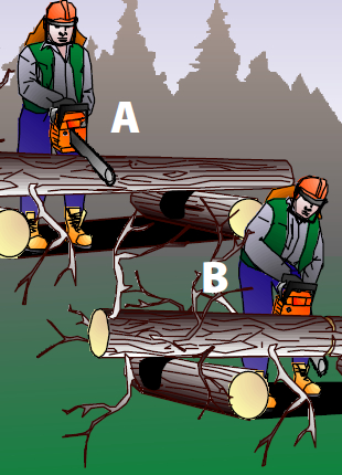 Chainsaw Accident Kills Woodsworker